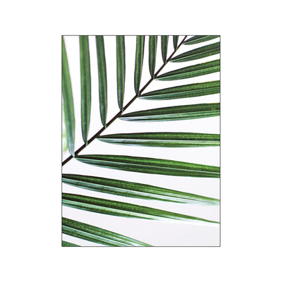 Living Room Decorated Canvas Painting